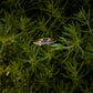 Rose Gold Plated Tungsten Antler Ring